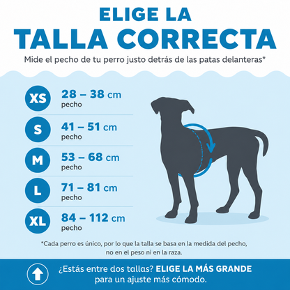 Chaleco Salvavidas Para Perro