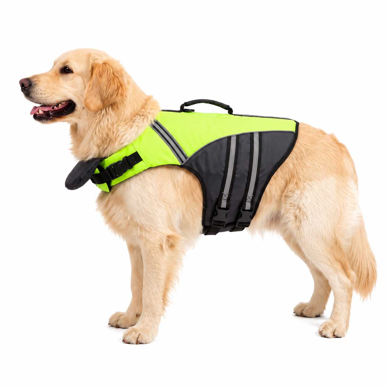 Chaleco Salvavidas Para Perro