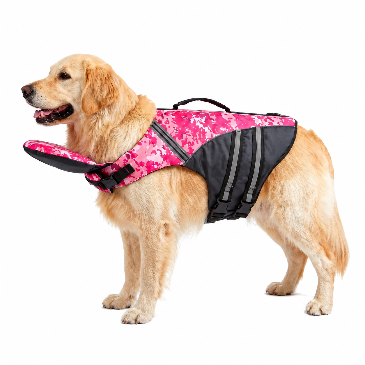 Chaleco Salvavidas Para Perro